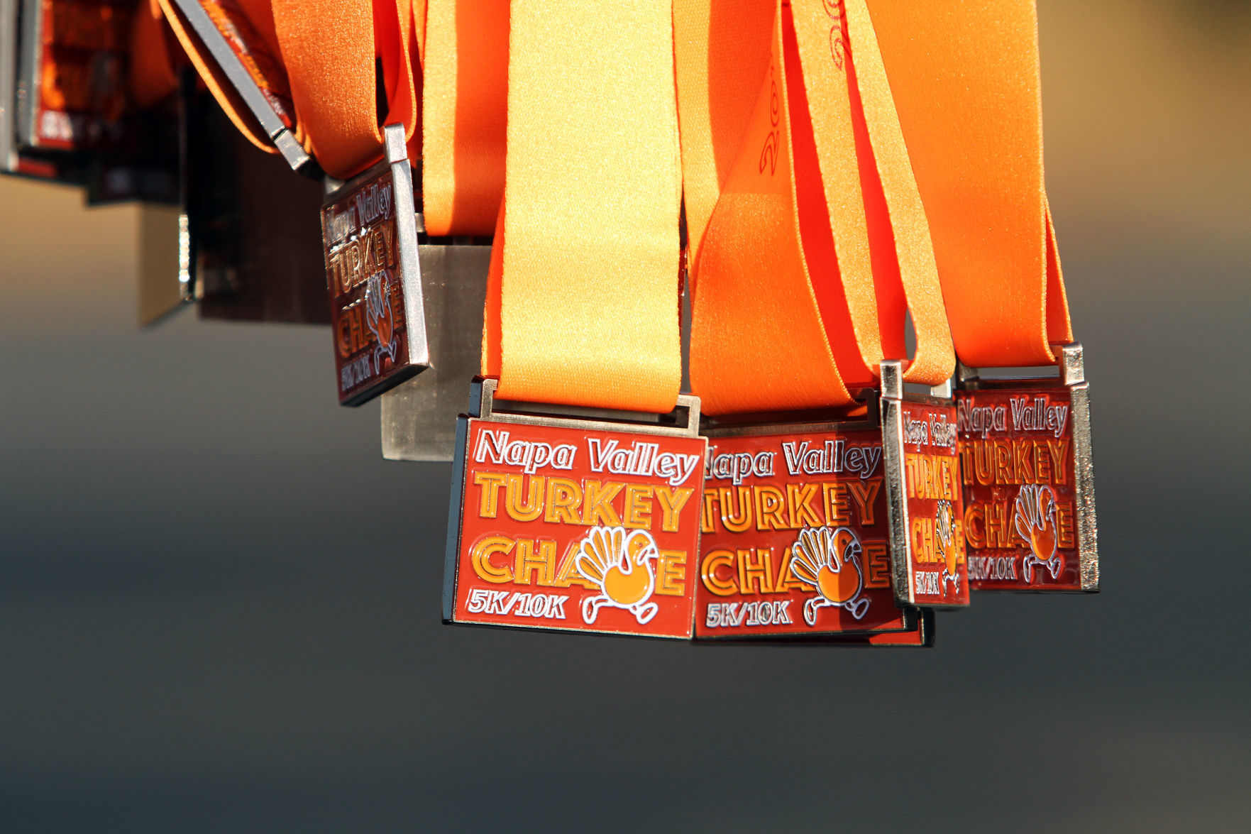 Napa Valley Turkey Chase 2019